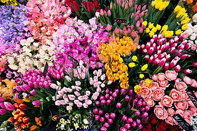 传闻：RTX 50系列将是英伟达史上提升最大的GPU